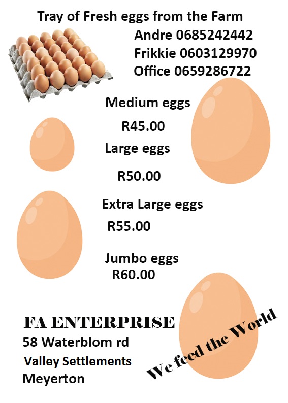 Fresh Farm Eggs